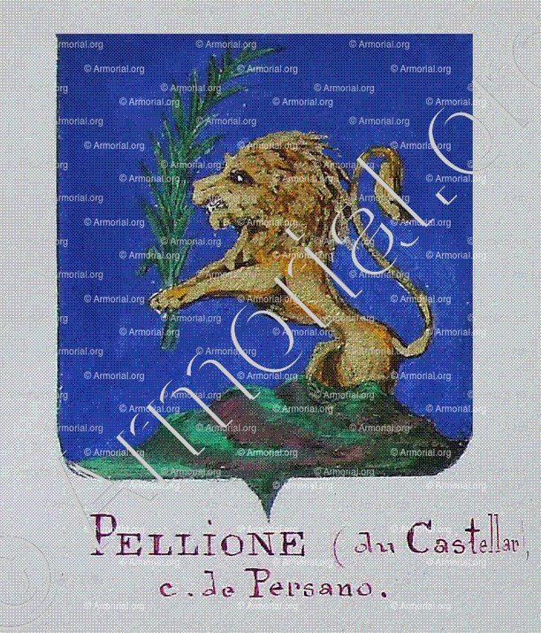 PELLIONE du CASTELLAR_Armorial Nice. (J. Casal, 1903) (Bibl. mun. de Nice)._France (i)