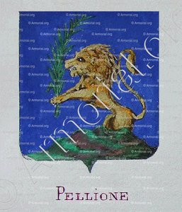 PELLIONE