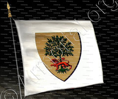 drapeau-ROCHEFORT_Duché de Savoie_États de Savoie (Louys de R.)