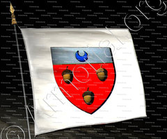 drapeau-SAINT MARTIN_Duché de Savoie_États de Savoie (de Loche)