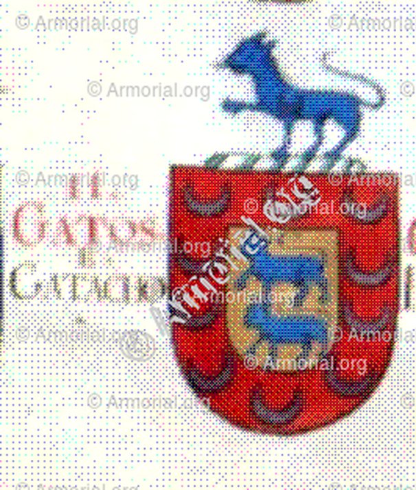 GATOS e GATACHOS__Portugal