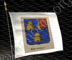 drapeau-MELLET DE BONAS_Noblesse d'Empire._France