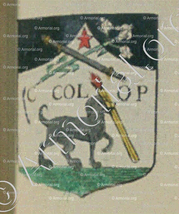 Le Couvent des Pères Dominicains de la ville de Colmar (Alsace)_Blason enregistré sous le règne de Louis XIV_France 