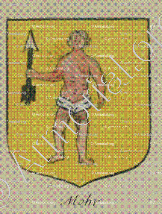 MOHR_Alsace, Armorial de France (Ch; d'Hozier, 1696-1710)._France