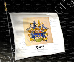 drapeau-HAECK_Overijsse, Deventer._Nederland