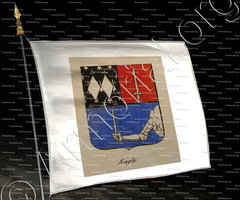 drapeau-NAGLE_Noblesse d'Empire._France