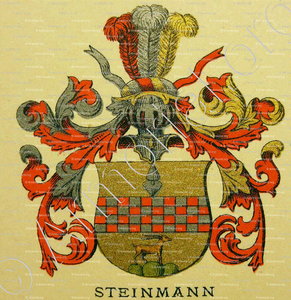 STEINMANN