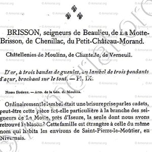 BRISSON_Armorial du Bourbonnais (Cte G. de Soultrait, 1890)_France (ii)