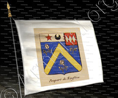 drapeau-POUPART DE NEUFLIZE_Noblesse d'Empire._France