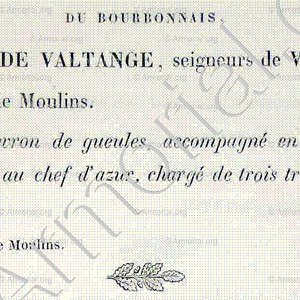 CHARBON de VALTANGE_Bourbonnais_France (5)+