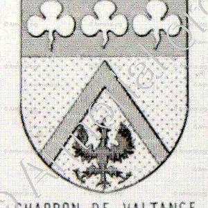 CHARBON de VALTANGE_Bourbonnais_France (6)+