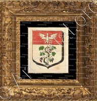 cadre-ancien-or-AMANCE_Armorial des villes, bourgs, et villages., 1877._Europe