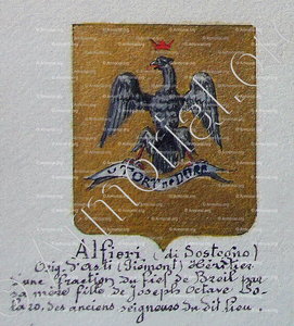 ALFIERI di Sostegno