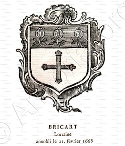 BRICART