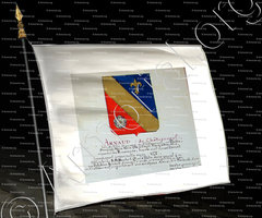 drapeau-ARNAUD GHIS_Armorial Nice. (J. Casal, 1903) (Bibl. mun. de Nice)_France (Arnaud de Châteauneuf) (1)