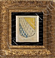 cadre-ancien-or-MARGANNE_Fac-similé de l'Armorial de France. Ville de Vendosme, 1696-1710._France