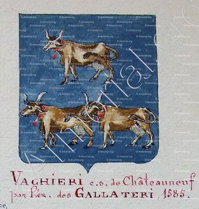 VACHIERI