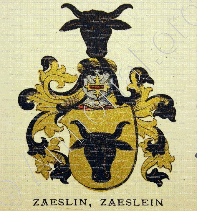 ZAESLIN_Wappenbuch der Stadt Basel . B.Meyer Knaus 1880_Schweiz 