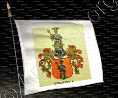 drapeau-SIEGRIST - Armorial de la ville de Bâle. B.Meyer Knaus 1880 - Schweiz. Suisse. Svizzera. (ii)