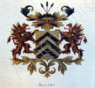 MULERT