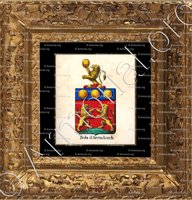 cadre-ancien-or-BOLS D'ARENDONCK_Armorial royal des Pays-Bas_Nederland