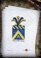 velin-d-Arches-CHARLE DE TYBECHAMPS_Armorial royal des Pays-Bas_Europe