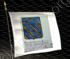 drapeau-CACCIARDI (de Montfleurie)_Armorial Nice. (J. Casal, 1902) (Bibl. mun. de Nice)_France (i)