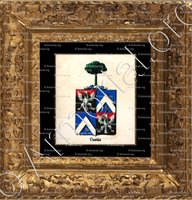 cadre-ancien-or-CUSTIS_Armorial royal des Pays-Bas_Europe