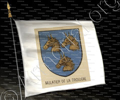 drapeau-MULATIER DE LA TROLLIERE_Bourbonnais_France