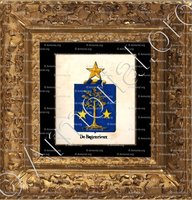 cadre-ancien-or-DE BAGENRIEUX_Armorial royal des Pays-Bas_Europe