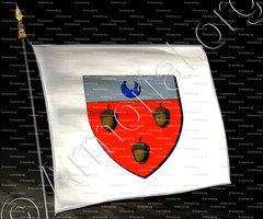 drapeau-de LOCHE_Ancien Duché de Savoie_États de Savoie