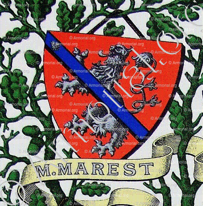 de MENTHON MAREST_Armorial et Nobiliaire de Savoie. (Cte de Foras)_France