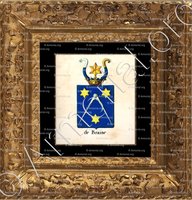 cadre-ancien-or-DE BRAINE_Armorial royal des Pays-Bas_Europe