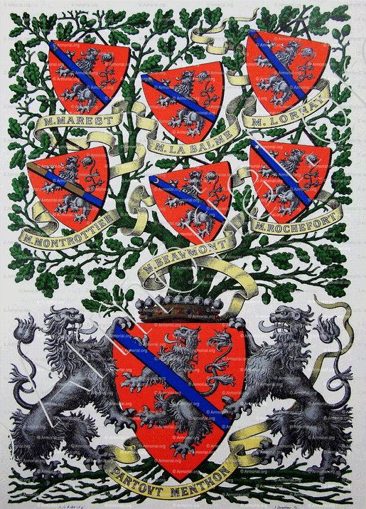 de MENTHON MENTHON_Armorial et Nobiliaire de Savoie. (Cte de Foras)_France 