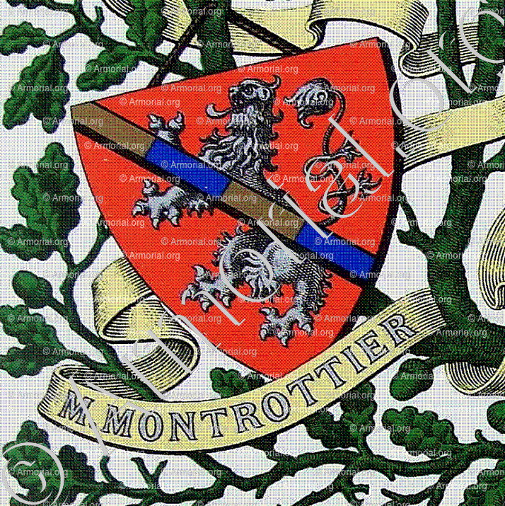 de MENTHON MONTROTTIER_Armorial et Nobiliaire de Savoie. (Cte de Foras)_France