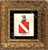 cadre-ancien-or-DE GRUNNE_Armorial royal des Pays-Bas_Europe