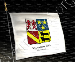 drapeau-de SALVANDY_Gascogne_France