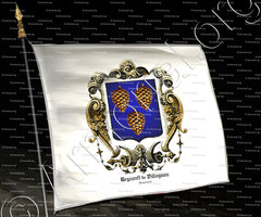 drapeau-REGNAULT de VILLOGNON_Angoumois._France (1)