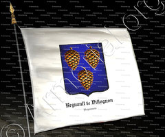 drapeau-REGNAULT de VILLOGNON_Angoumois._France (2)