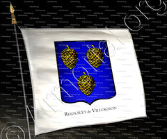 drapeau-REGNAULT de VILLOGNON_Armorial de France 1696-1710, Ch. d'Hozier. Registre Poitou I._France