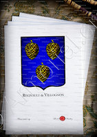 velin-d-Arches-REGNAULT de VILLOGNON_Armorial de France 1696-1710, Ch. d'Hozier. Registre Poitou I._France