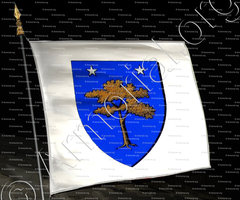 drapeau-Du FOUG ou FAOUG ou FAUG_Ancien Duché de Savoie_États de Savoie