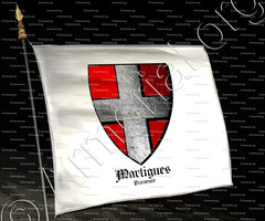 drapeau-MARTIGUES_Provence_France (i)