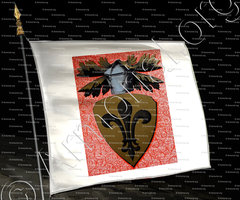 drapeau-DUFRESNOY_Duché de Savoie. Arm. de Savoie. (Cte de Foras)._France. Piemont Sardaigne (ii