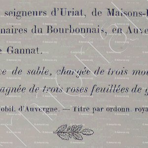 d'ARNOUX_Armorial du Bourbonnais (Cte G. de Soultrait, 1857)_France (ii)