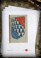 velin-d-Arches-PINEAU_Armorial de France. Reg.Orléans (1696)._France ()