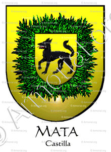 MATA