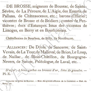 de BROSSE_Bourbonnais_France (12)