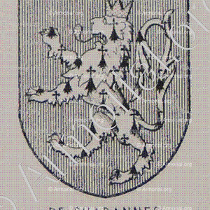 de CHABANNES_Armorial du Bourbonnais (Cte G. de Soultrait, 1857)_France (ii)