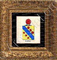 cadre-ancien-or-DE RASSE_Armorial royal des Pays-Bas_Europe